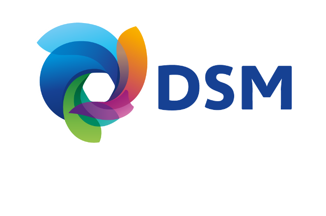 DSM DSM